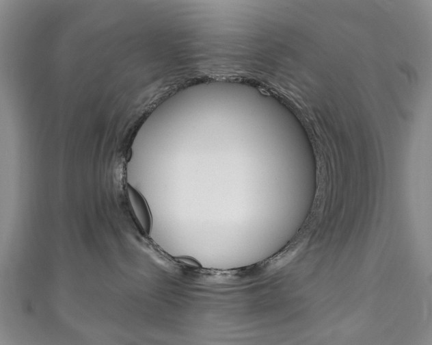 X0000111240288200907021005