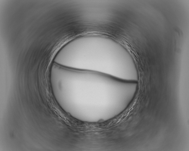 X0000111240289200907021004