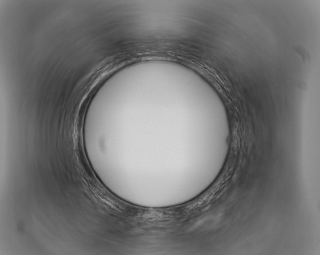 X0000111240290200907021004