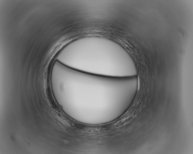 X0000111240291200907021004