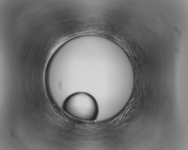 X0000111240292200907021004