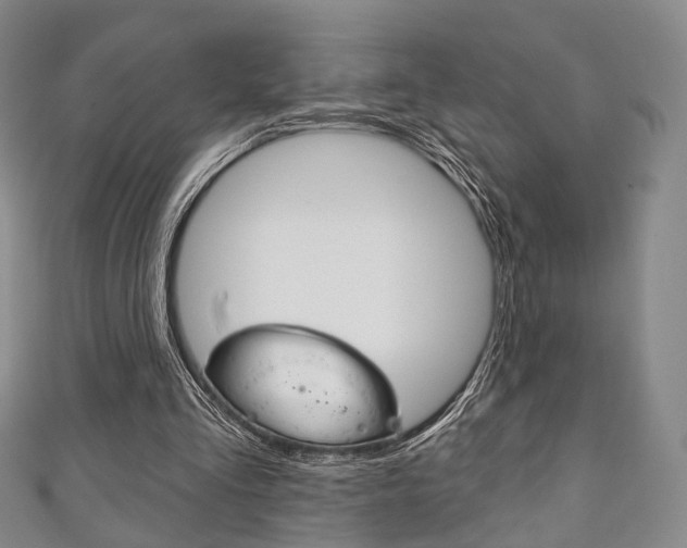 X0000111240293200907021004