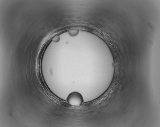 X0000111240294200907021004