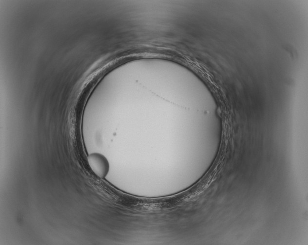 X0000111240295200907021004