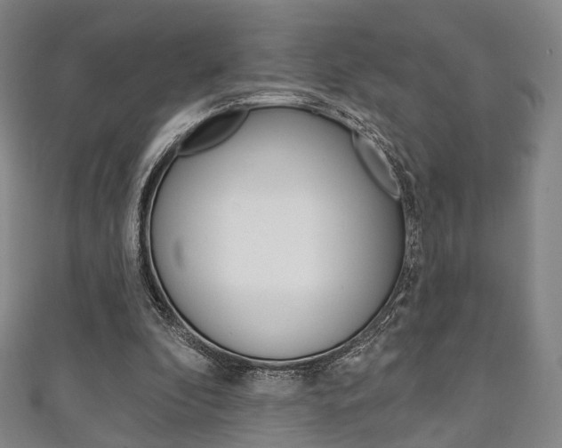 X0000111240296200907021004