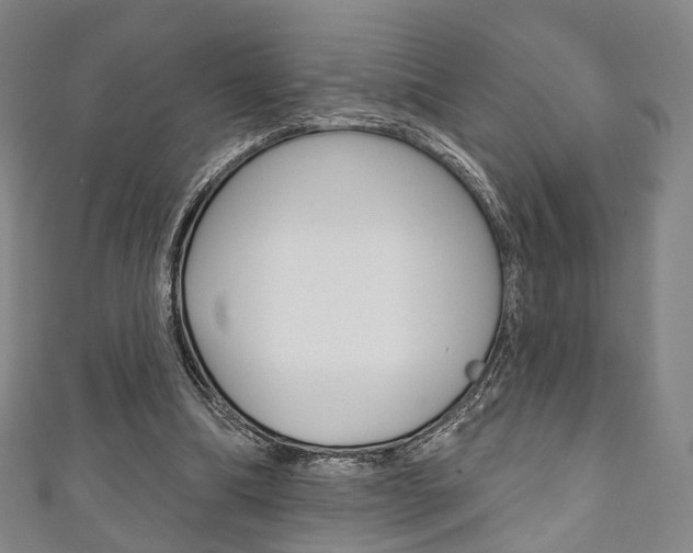 X0000111240298200907021004