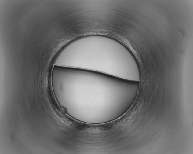 X0000111240299200907021004