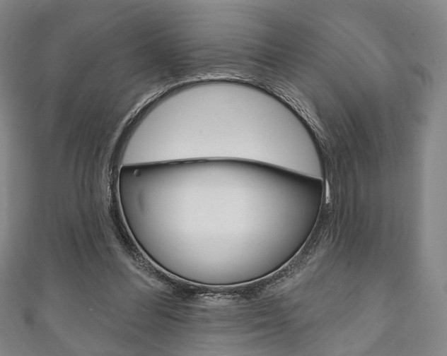 X0000111240300200907021004