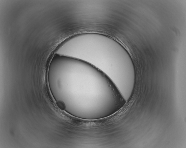 X0000111240301200907021004