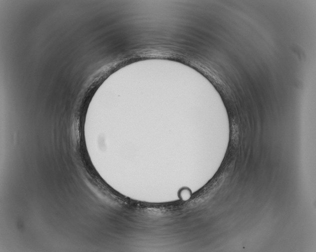 X0000111240302200907021004