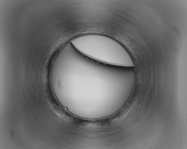 X0000111240303200907021004