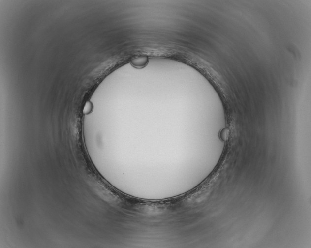 X0000111240305200907021004