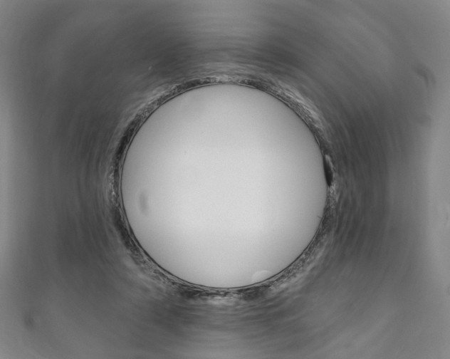 X0000111240306200907021004