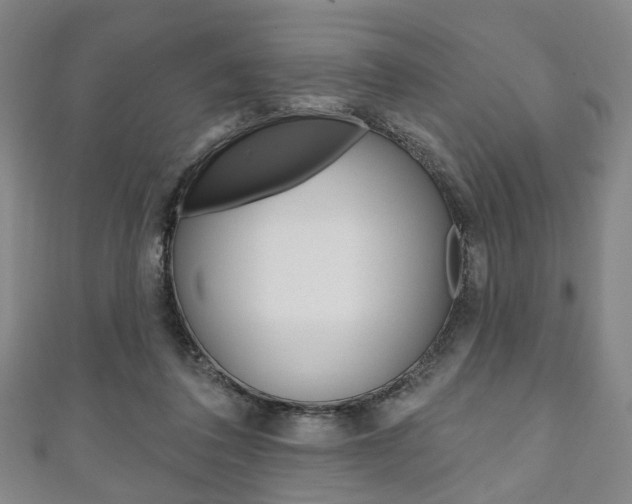 X0000111240308200907021004
