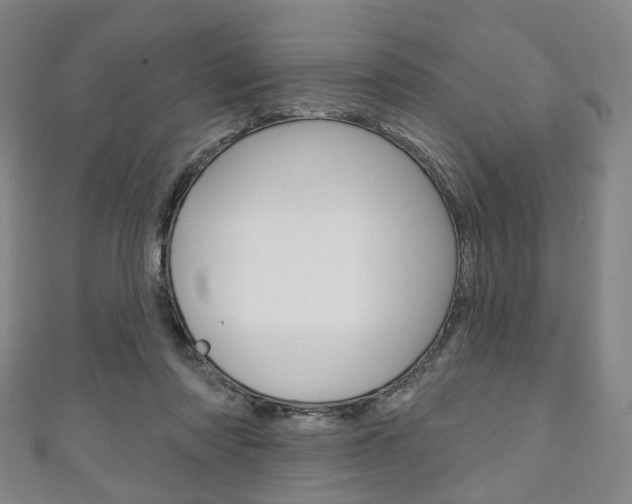 X0000111240310200907021004