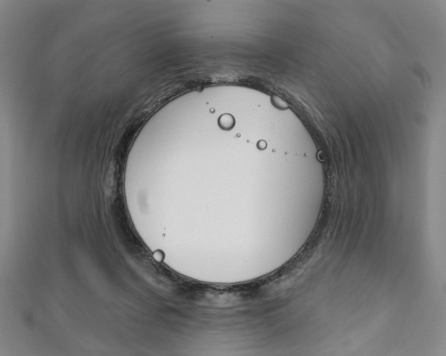 X0000111240311200907021004