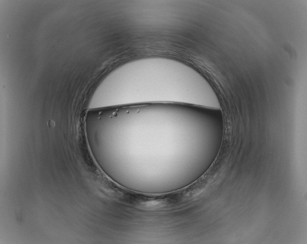 X0000111240312200907021004