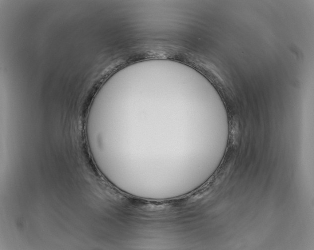 X0000111240314200907021004