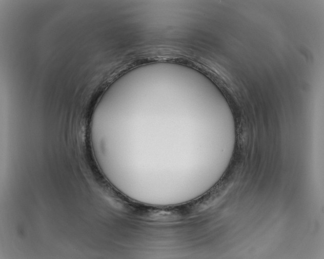 X0000111240315200907021004