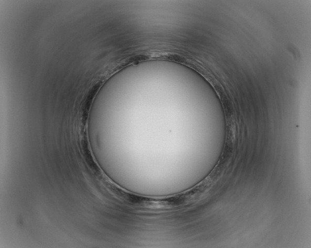 X0000111240316200907021004