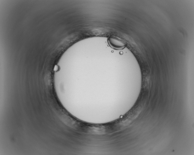 X0000111240317200907021004