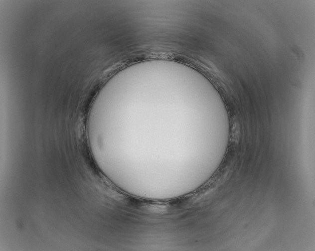 X0000111240318200907021004