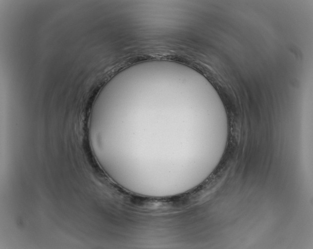 X0000111240319200907021004