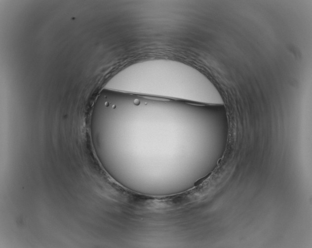 X0000111240320200907021004