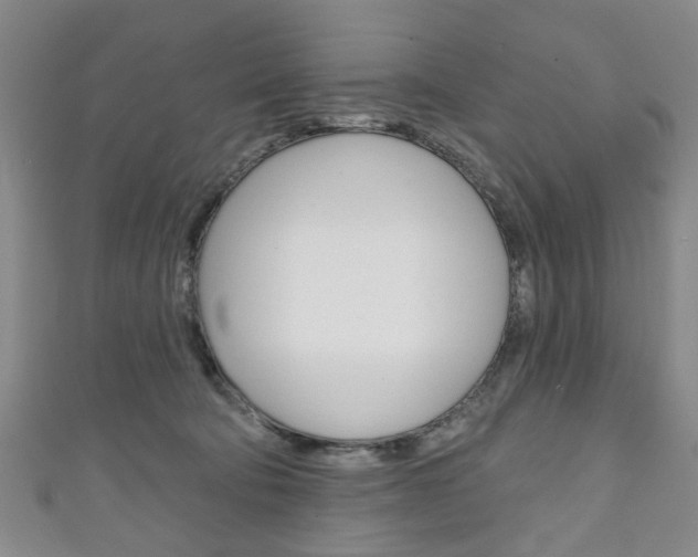 X0000111240322200907021004