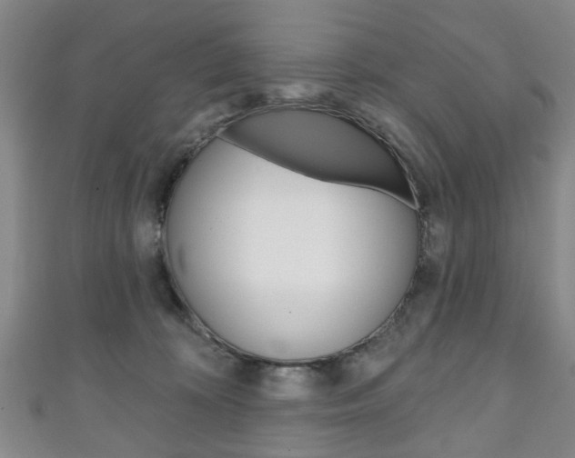X0000111240324200907021004