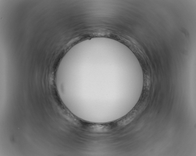 X0000111240326200907021004