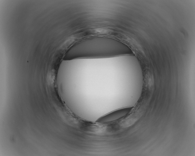 X0000111240328200907021004
