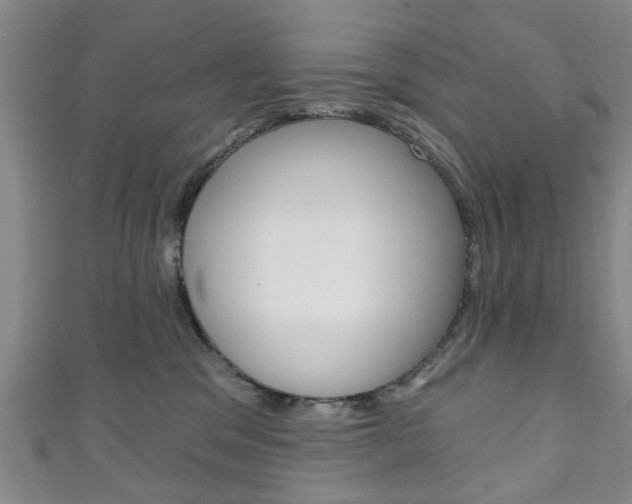 X0000111240329200907021004