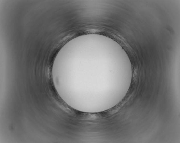 X0000111240330200907021004