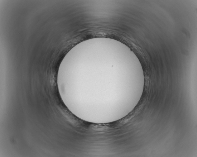 X0000111240331200907021004