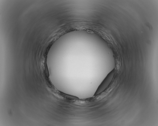 X0000111240332200907021004