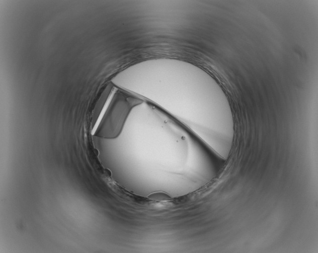 X0000111240333200907021004