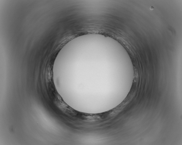 X0000111240334200907021004