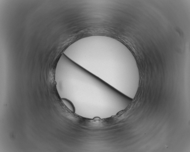 X0000111240335200907021004