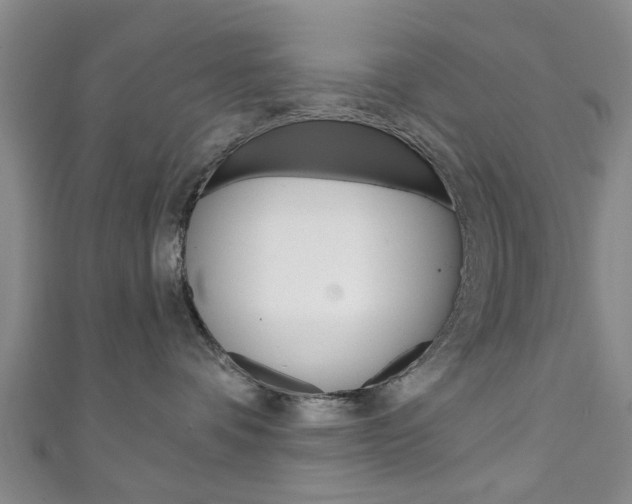 X0000111240336200907021004