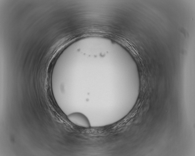 X0000111240338200907021003