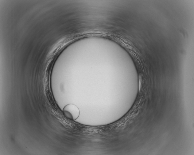 X0000111240339200907021003