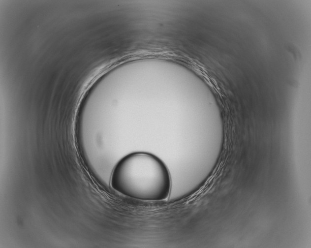 X0000111240340200907021003