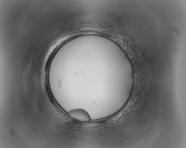 X0000111240342200907021003