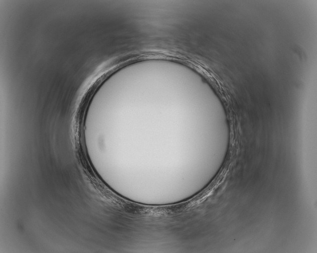 X0000111240343200907021003