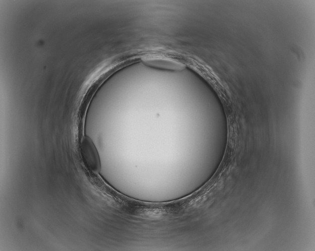 X0000111240344200907021003