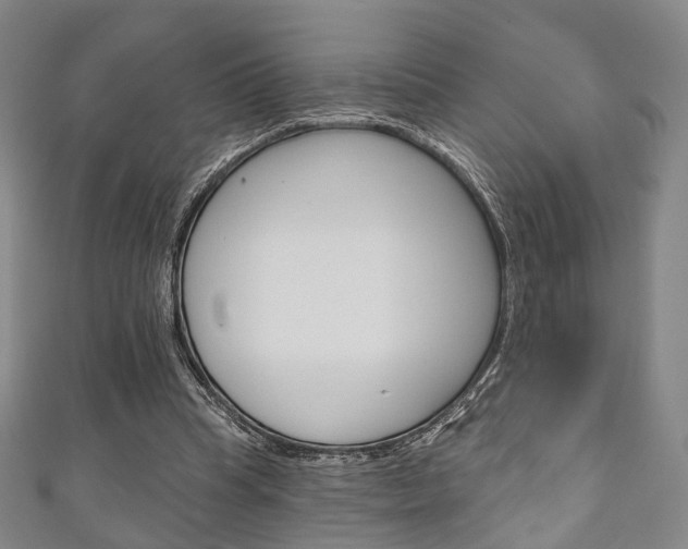 X0000111240345200907021003