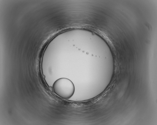 X0000111240346200907021003