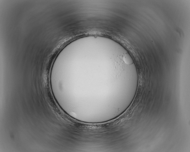 X0000111240347200907021003