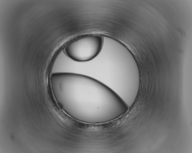 X0000111240350200907021003